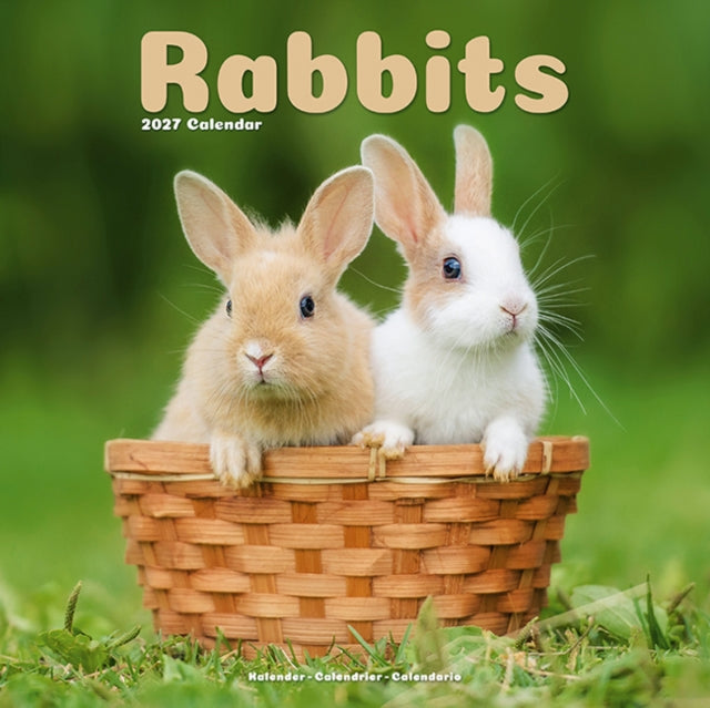 Rabbits