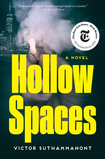 Hollow Spaces: A Novel