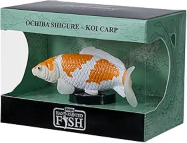 Koi Carp - Ochiba Shigure Koi (Gold White) Gift Boxed cover