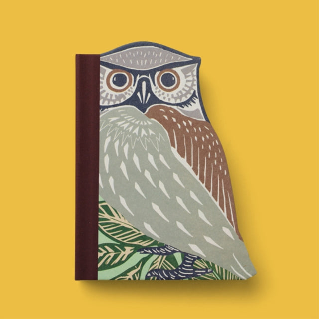Eclectionery Notable Books - Owl cover
