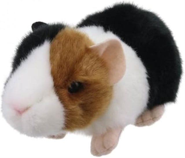 Guinea Pig cover
