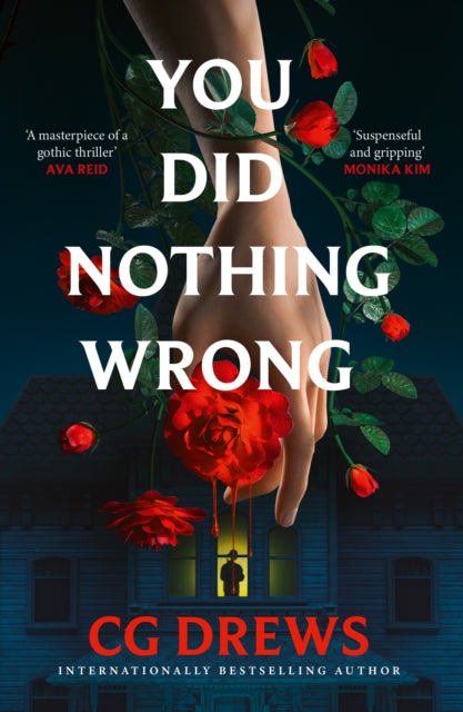 You Did Nothing Wrong cover