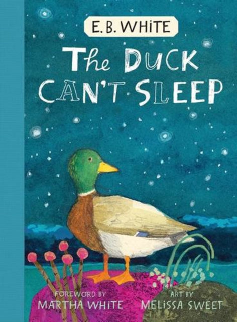 Duck Can't Sleep cover