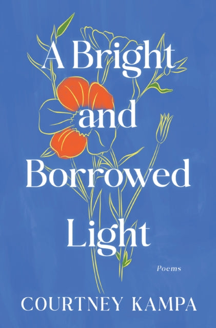 A Bright and Borrowed Light cover