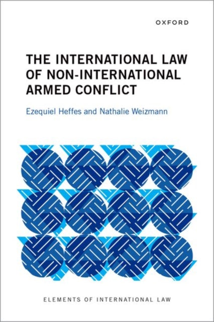 The International Law of Non-International Armed Conflict cover