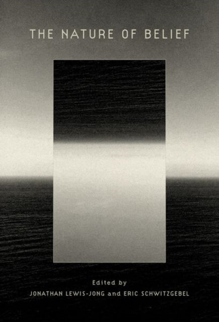 The Nature of Belief cover