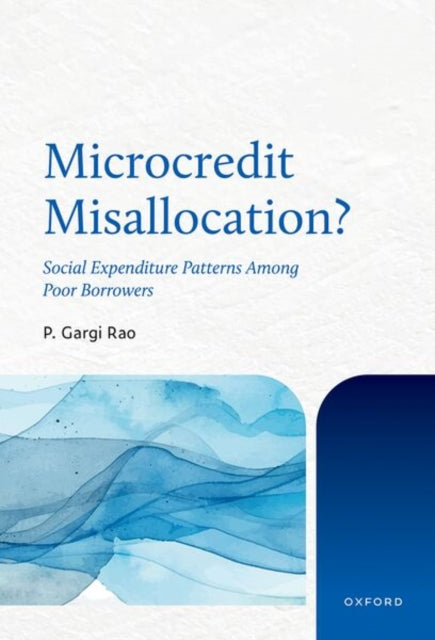 Microcredit Misallocation? cover