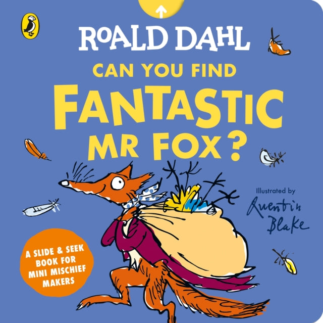 Roald Dahl: Can You Find Fantastic Mr Fox? cover