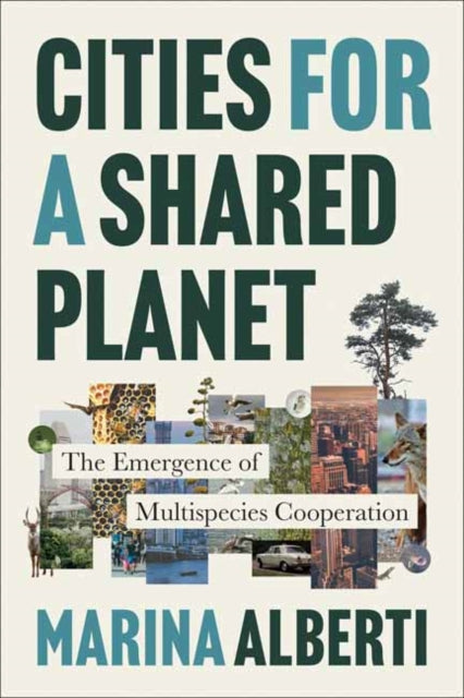 Cities for a Shared Planet cover