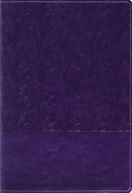 Amplified Holy Bible, Large Print, Leathersoft, Purple cover