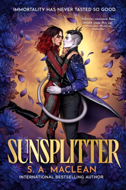 Sunsplitter cover