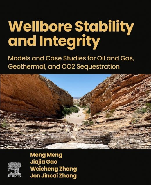 Wellbore Stability and Integrity cover