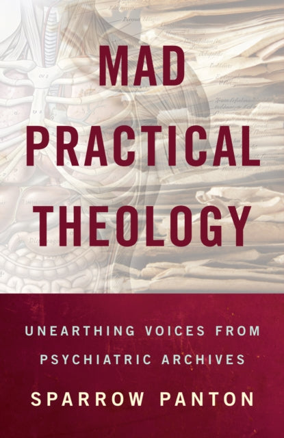 Mad Practical Theology cover