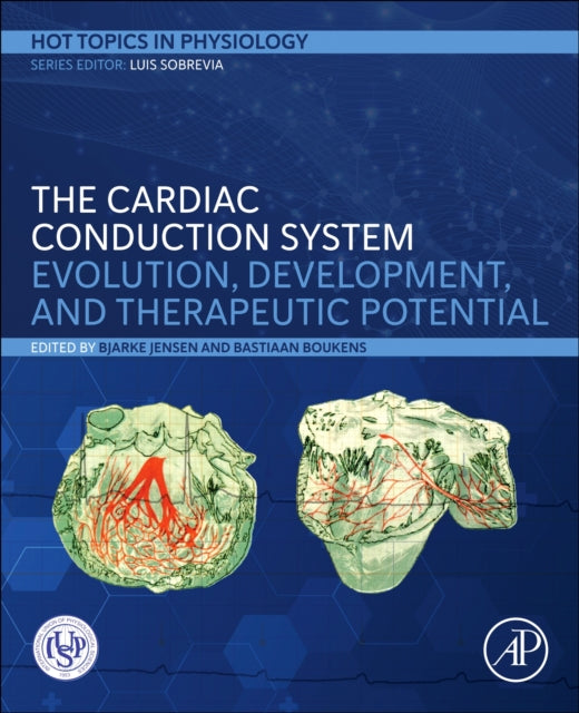 The Cardiac Conduction System cover