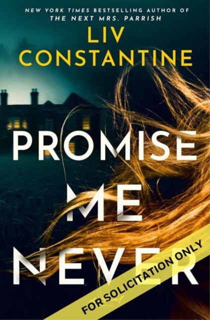 Promise Me Never cover