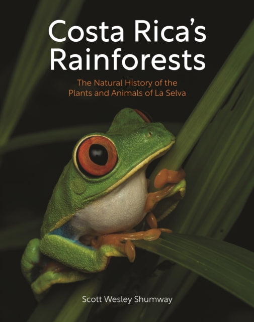 Costa Rica's Rainforests cover