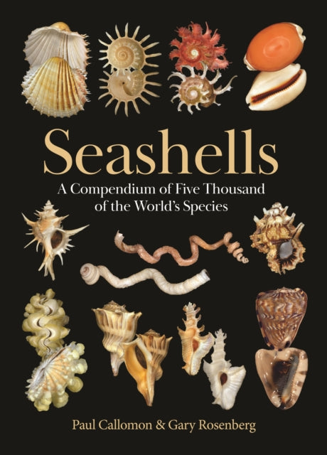 Seashells cover