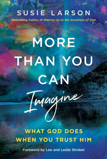 More Than You Can Imagine cover