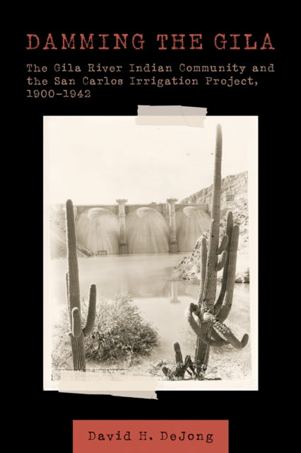 Damming the Gila cover