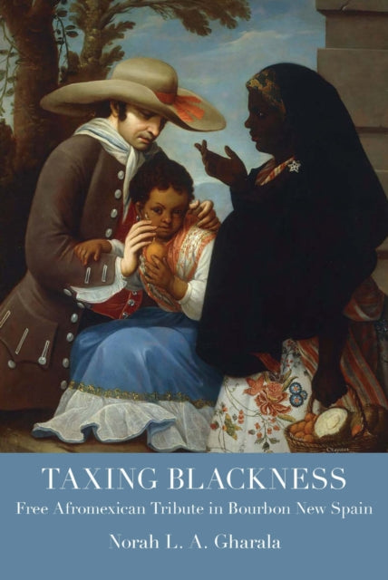 Taxing Blackness cover