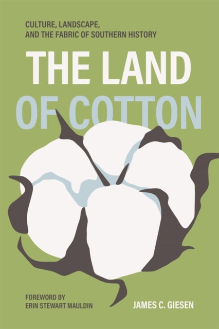 The Land of Cotton cover
