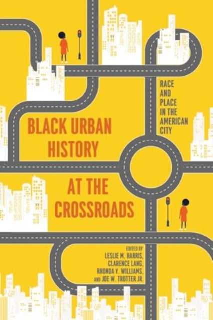 African American Urban History from Past to Future cover