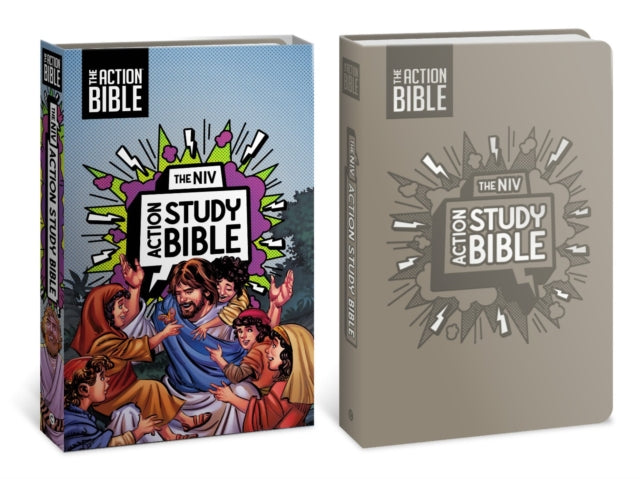 NIV Action Study Bible, Leathersoft, Gray, Full Color cover