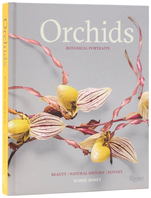 Orchids: Botanical Portraits cover