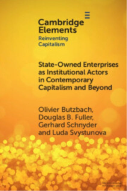State-Owned Enterprises as Institutional Actors in Contemporary Capitalism and Beyond cover