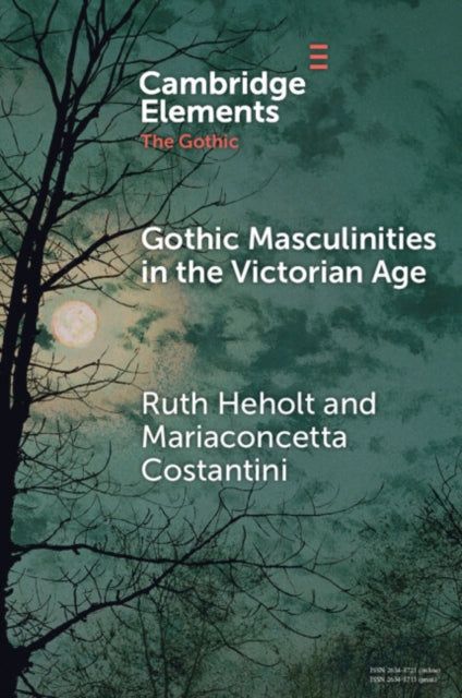 Gothic Masculinities in the Victorian Age cover