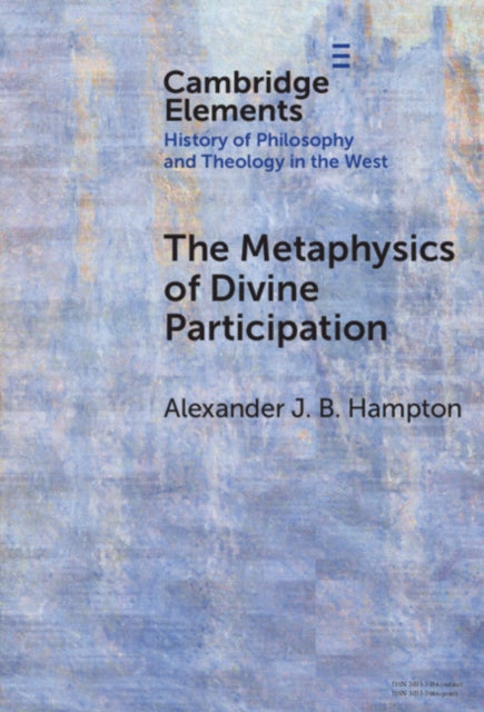 The Metaphysics of Divine Participation cover