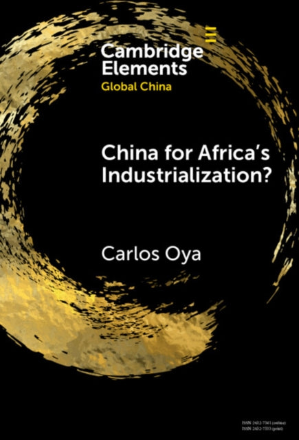 China for Africa's Industrialization? cover