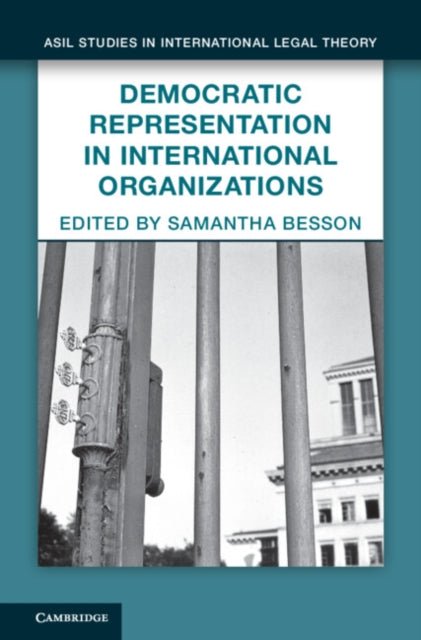Democratic Representation in International Organizations cover
