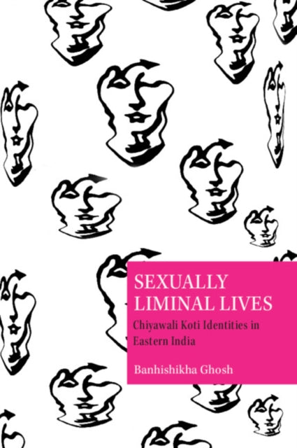 Sexually Liminal Lives cover