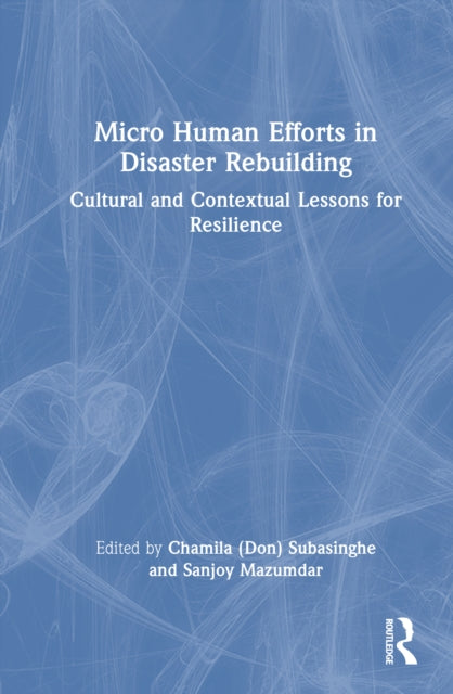 Micro Human Efforts in Disaster Rebuilding cover