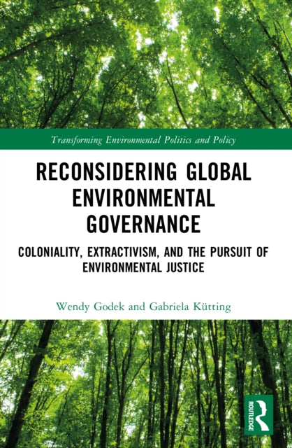Reconsidering Global Environmental Governance cover