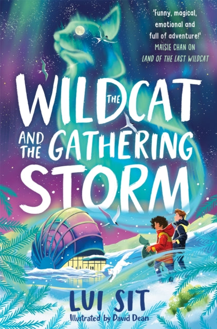 The Wildcat and the Gathering Storm cover
