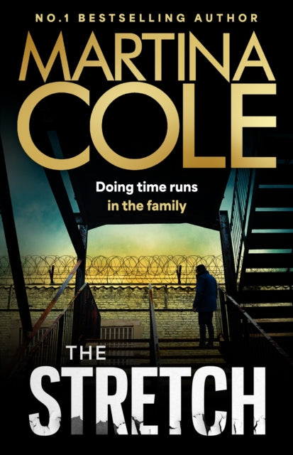 The Stretch cover