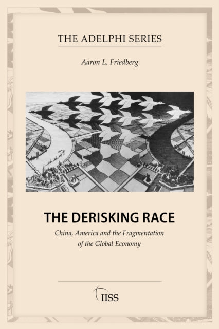 The Derisking Race cover