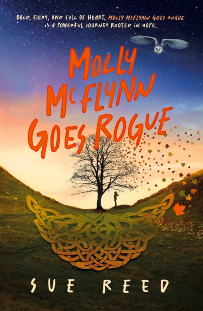 Molly McFlynn Goes Rogue cover