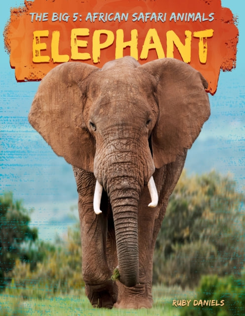 Elephant cover