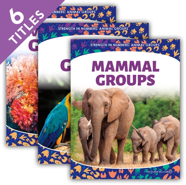 Strength in Numbers: Animal Groups (Set) cover