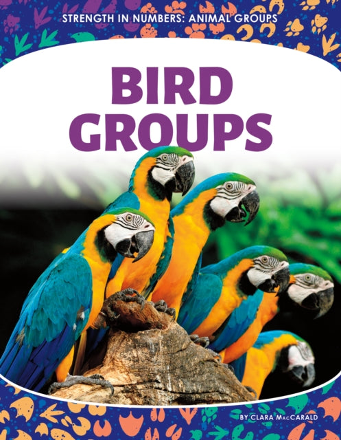 Bird Groups cover