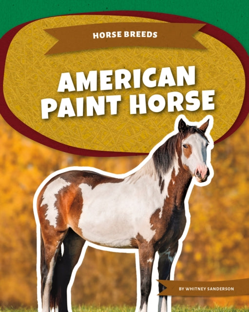 American Paint Horse cover