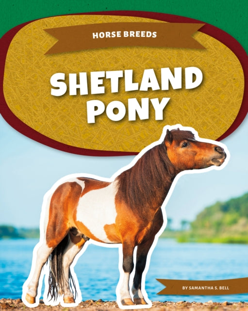 Shetland Pony cover