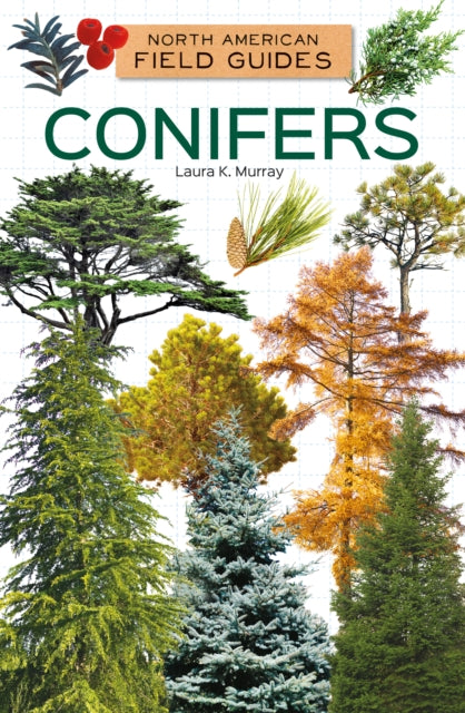 Conifers cover