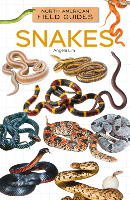 Snakes cover