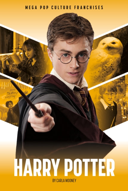Harry Potter cover