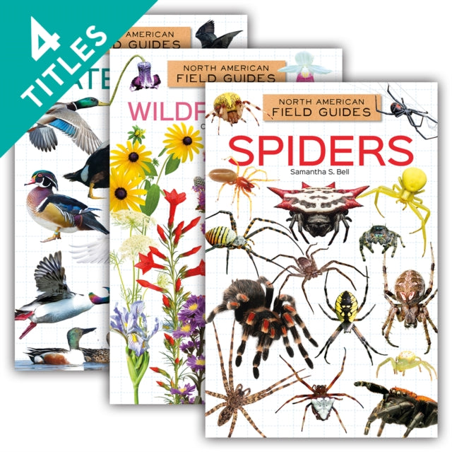 North American Field Guides Set 4 (Set) cover