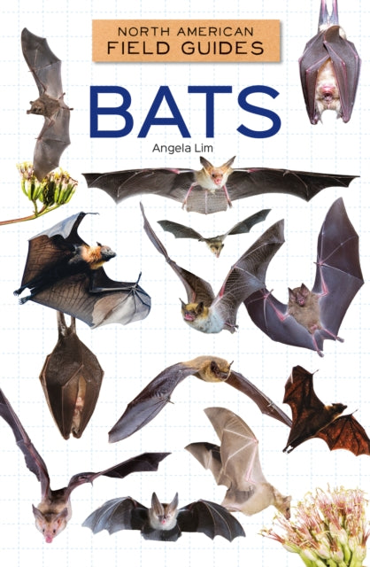 Bats cover